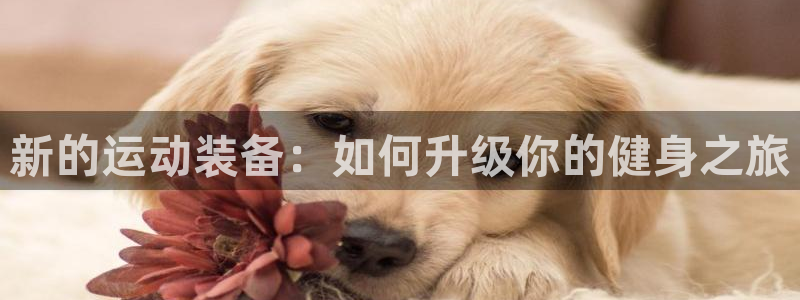 凯捷体育集团E.ON:新的运动装备:如何升级你的健身之旅