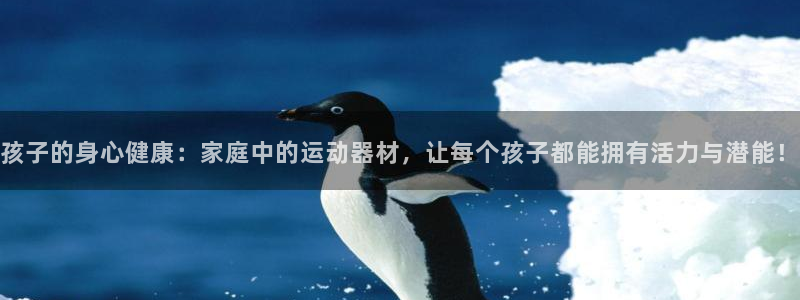 凯捷体育娱乐:孩子的身心健康:家庭中的运动器材,让每个孩子都
