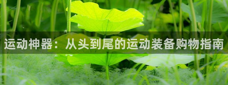凯捷体育娱乐