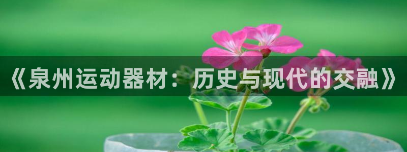 凯捷体育招商：《泉州运动器材：历史与现代的交融》