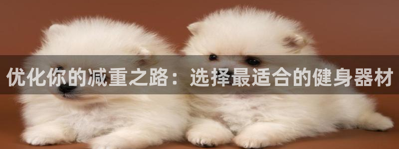 意昂集团官网:优化你的减重之路:选择最适合的健身器材