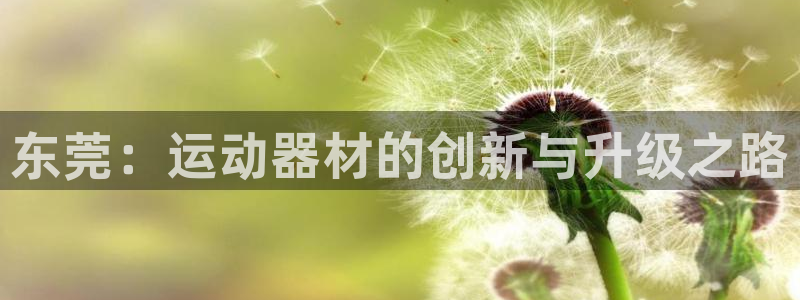 凯捷体育官网：东莞：运动器材的创新与升级之路