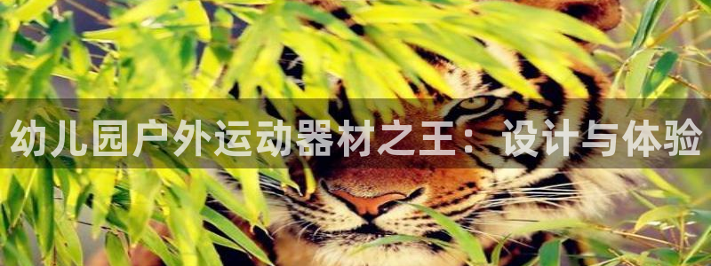 注册凯捷体育：幼儿园户外运动器材之王：设计与体验