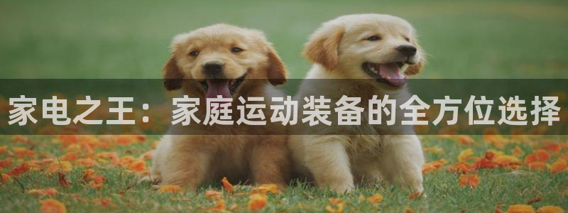 凯捷体育娱乐首页官网下载：家电之王：家庭运动装备的全方位选择