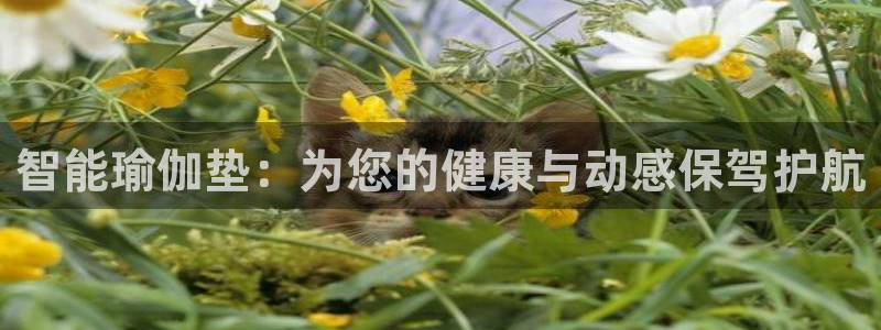 凯捷体育平台假的吗是真的吗