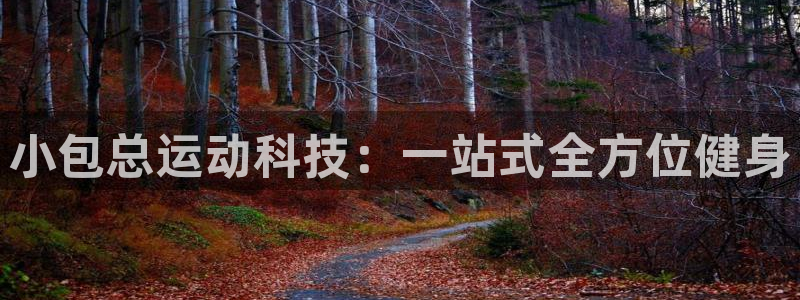 凯捷体育娱乐下载:小包总运动科技:一站式全方位健身