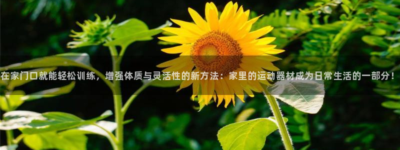 凯捷体育招商电话号码查询：在家门口就能轻松训练，增强