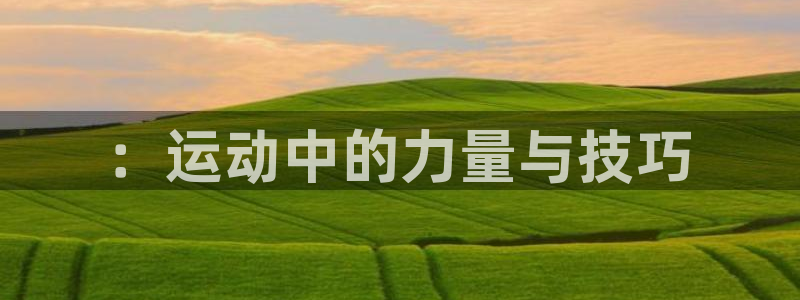 凯捷体育平台是正规平台吗：：运动中的力量与技巧